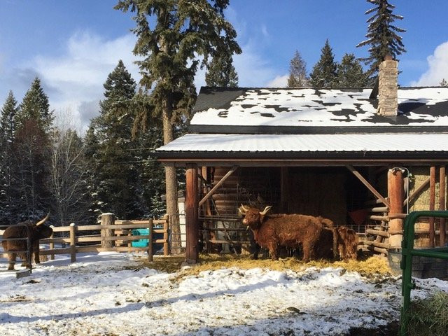 The Bailey's Bed 'n Bale主图