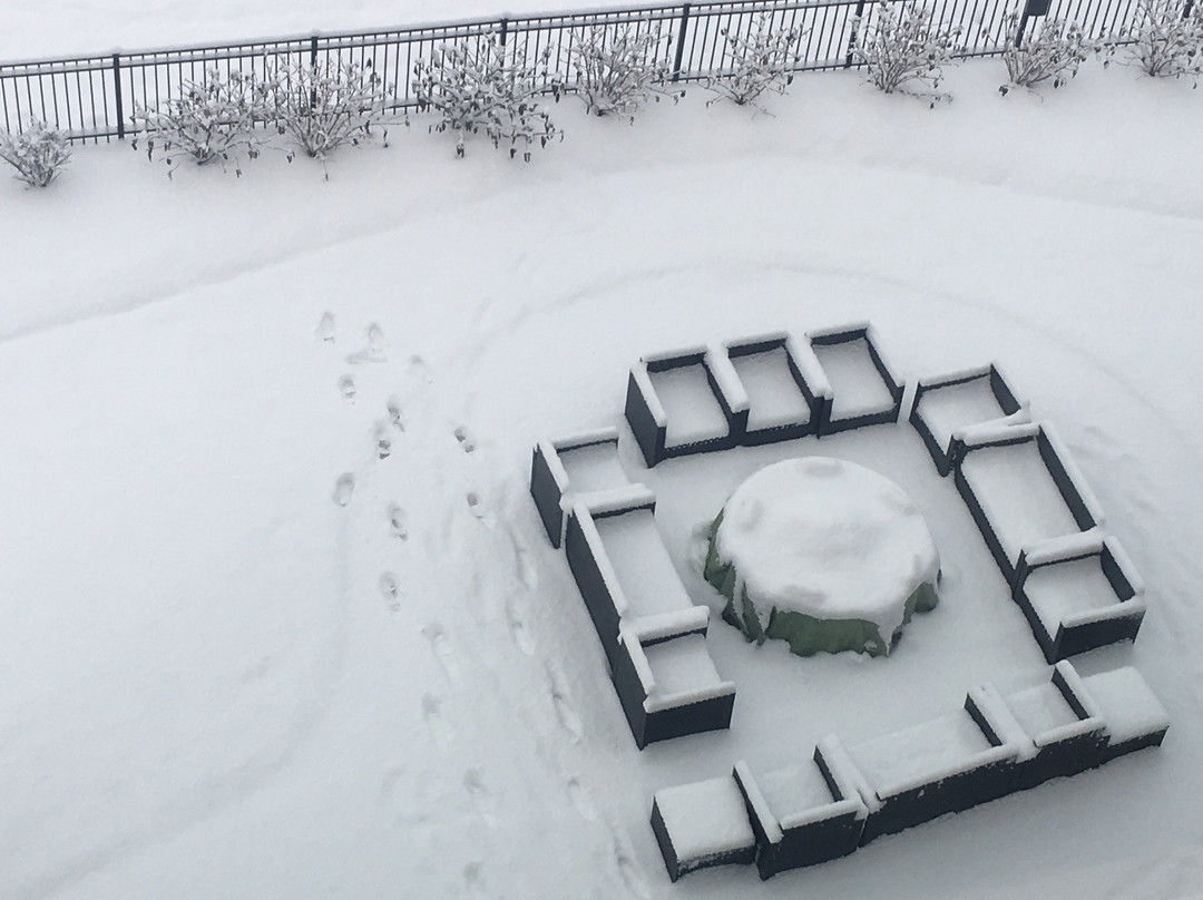 Courtyard by Marriott Morgantown主图