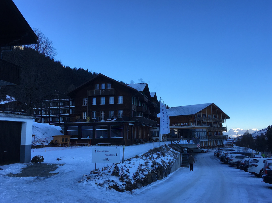 Hotel Hari im Schlegeli主图