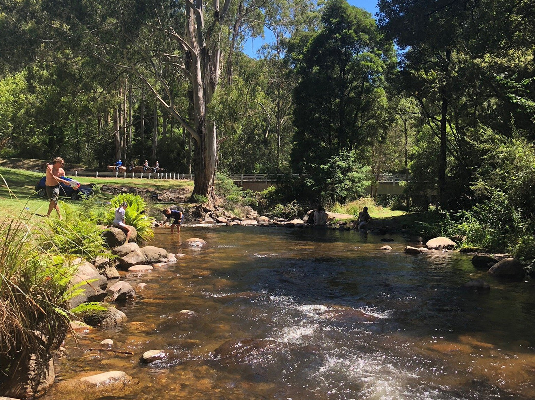 Mirimbah Park-Mirimbah必去景点
