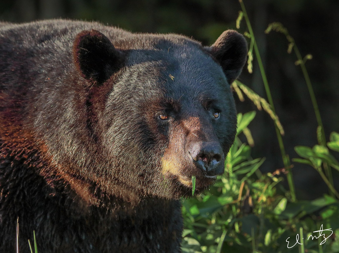 SDM adventures-Riviera必去景点