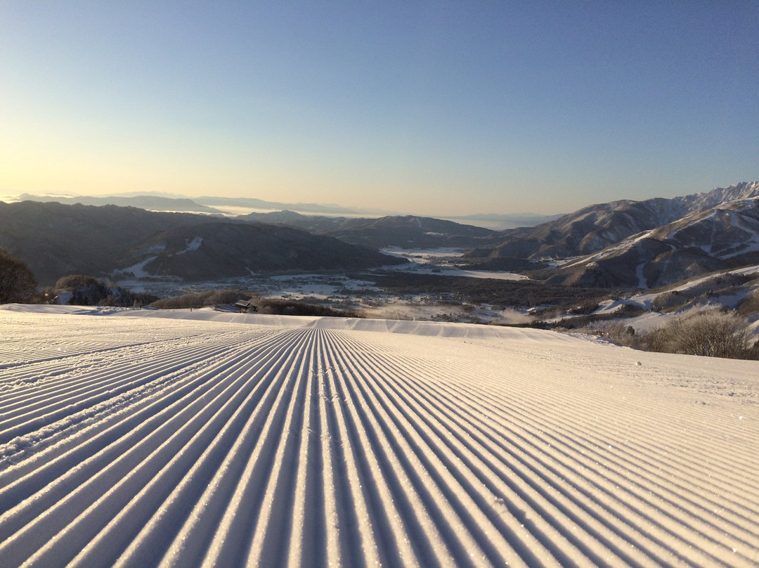 Hakuba Iwatake Snow Field景点图片