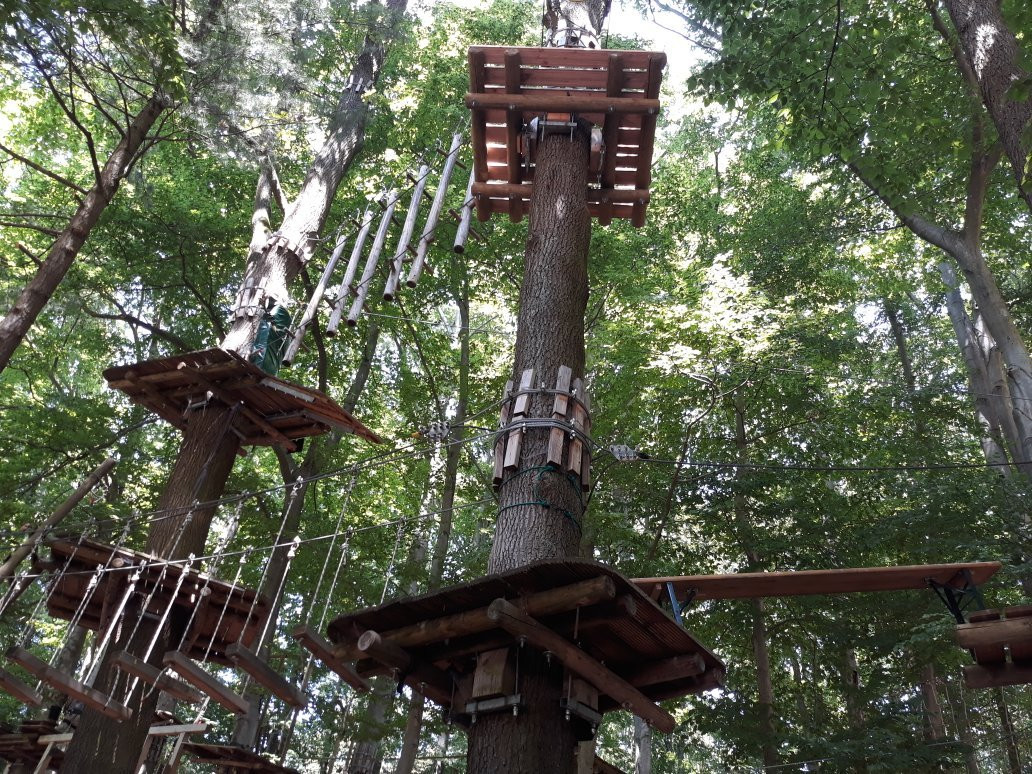 Fun Forest Abenteuerpark Offenbach景点图片