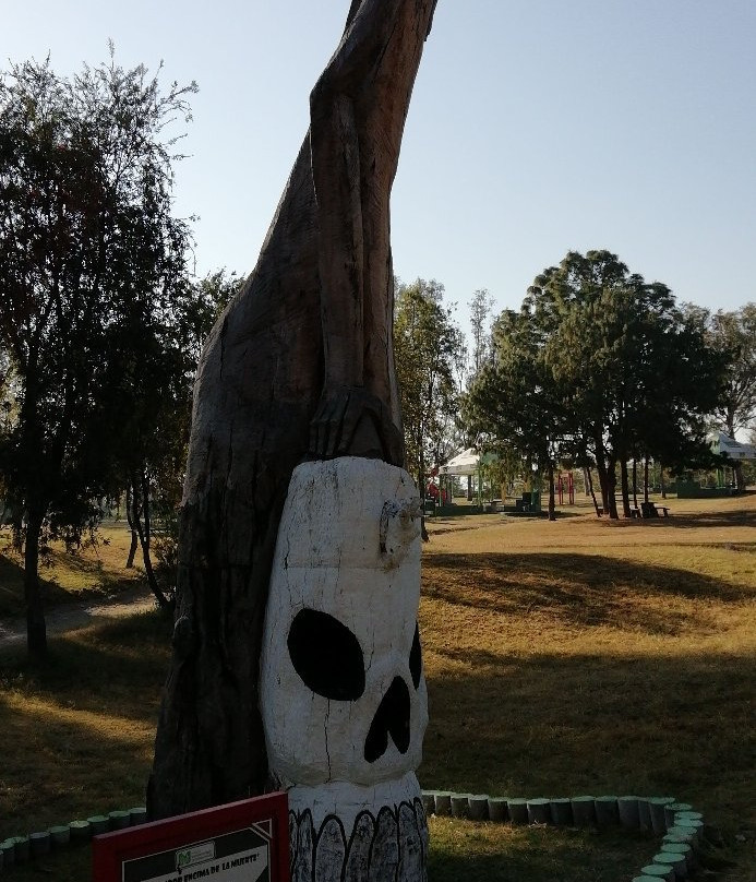 Parque Metropolitano de Guadalajara-Zapopan必去景点