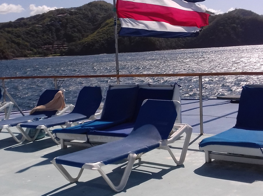 Catamaran Ocean Tours景点图片