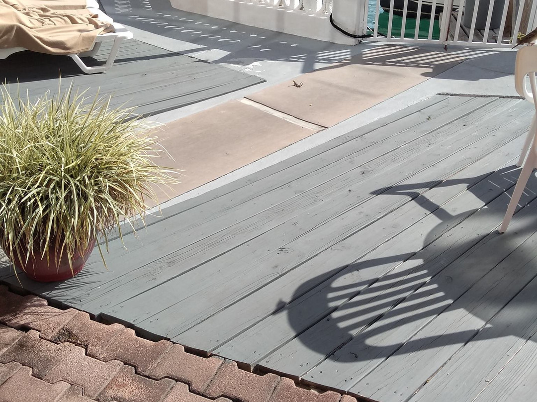 Bell Channel Inn主图