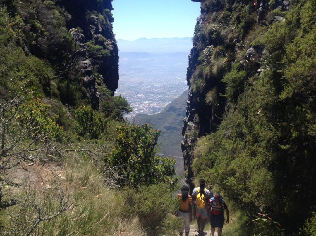 Maclear's Beacon-桌山国家公园必去景点