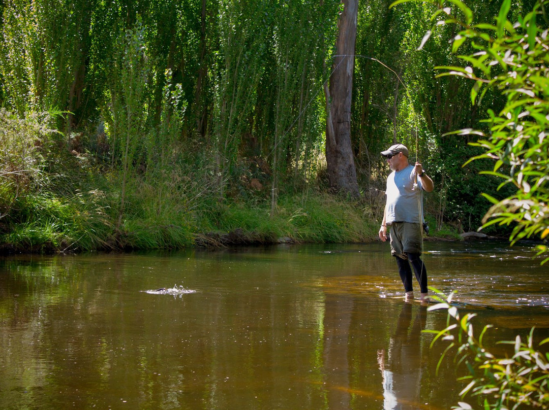 Camden Fishing景点图片