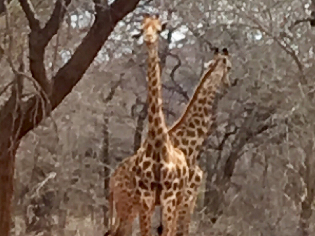 Panorama Pedals-参宁必去景点