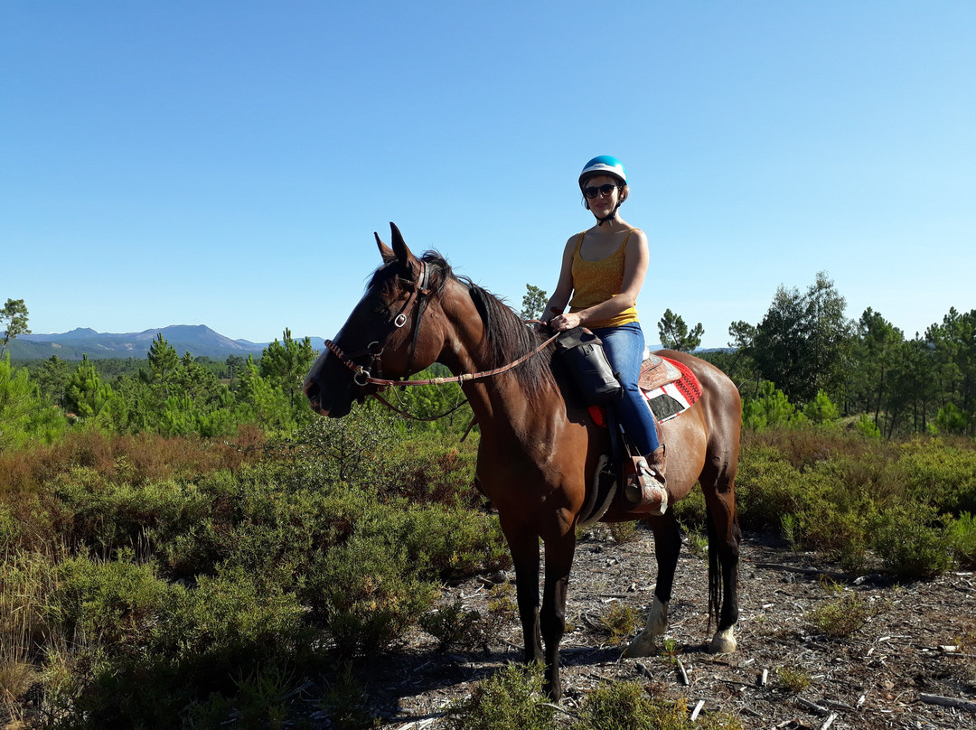 Horseback riding Portugal Adventures-Castelo Branco District必去景点
