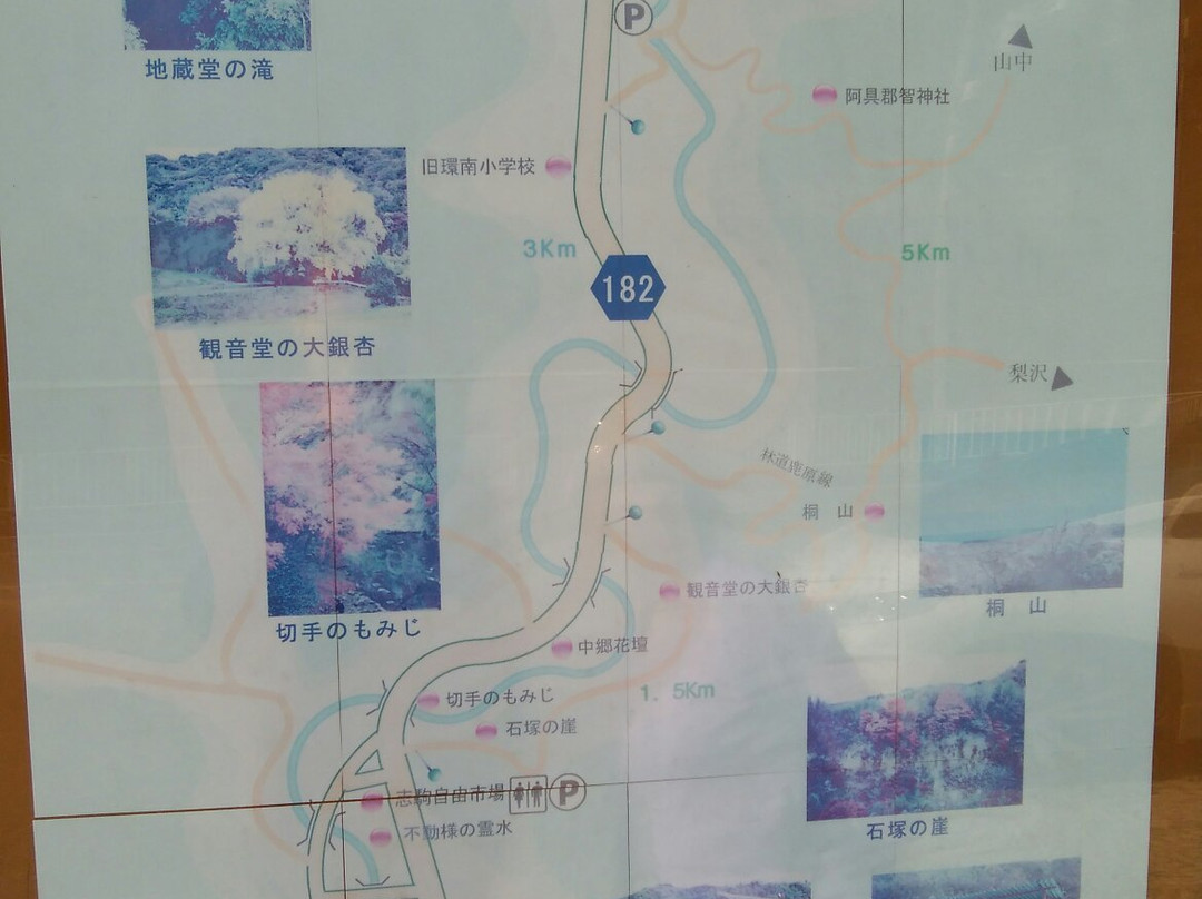 Maple Road-富津市必去景点