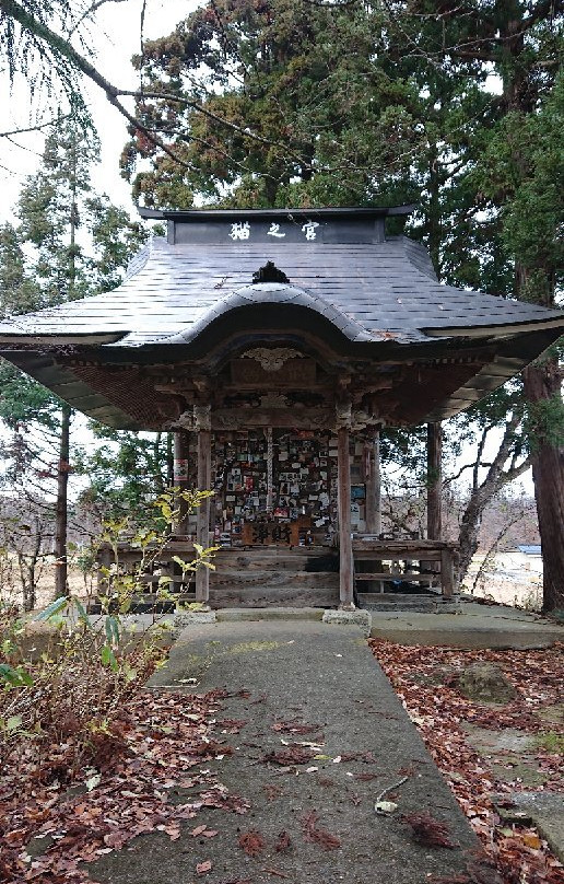 Cat's Shrine-高畠町必去景点