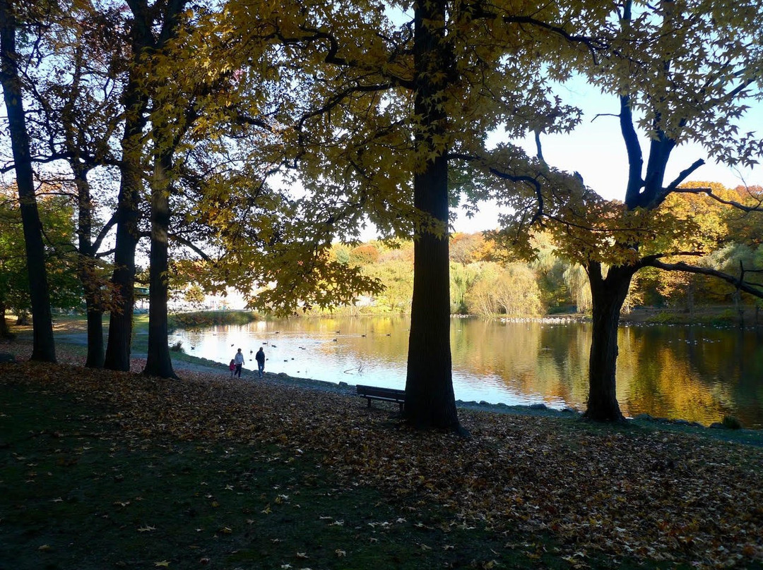 Tibbetts Brook Park景点图片