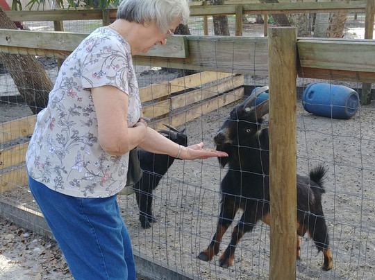 2023年11月Gatorama景点攻略-Gatorama门票预订|地址|图片-Gatorama景点点评-猫途鹰