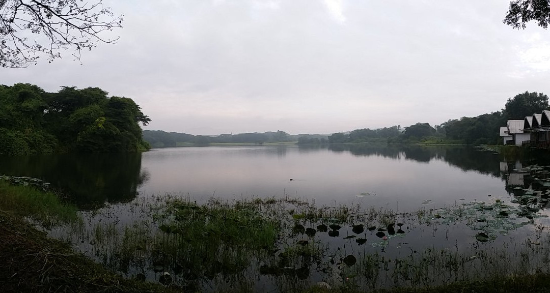 Clearwater Sanctuary Golf Resort主图