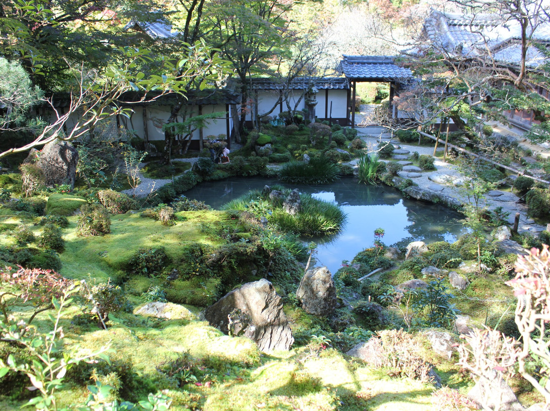 Saimyo-ji Garden Horaitei景点图片