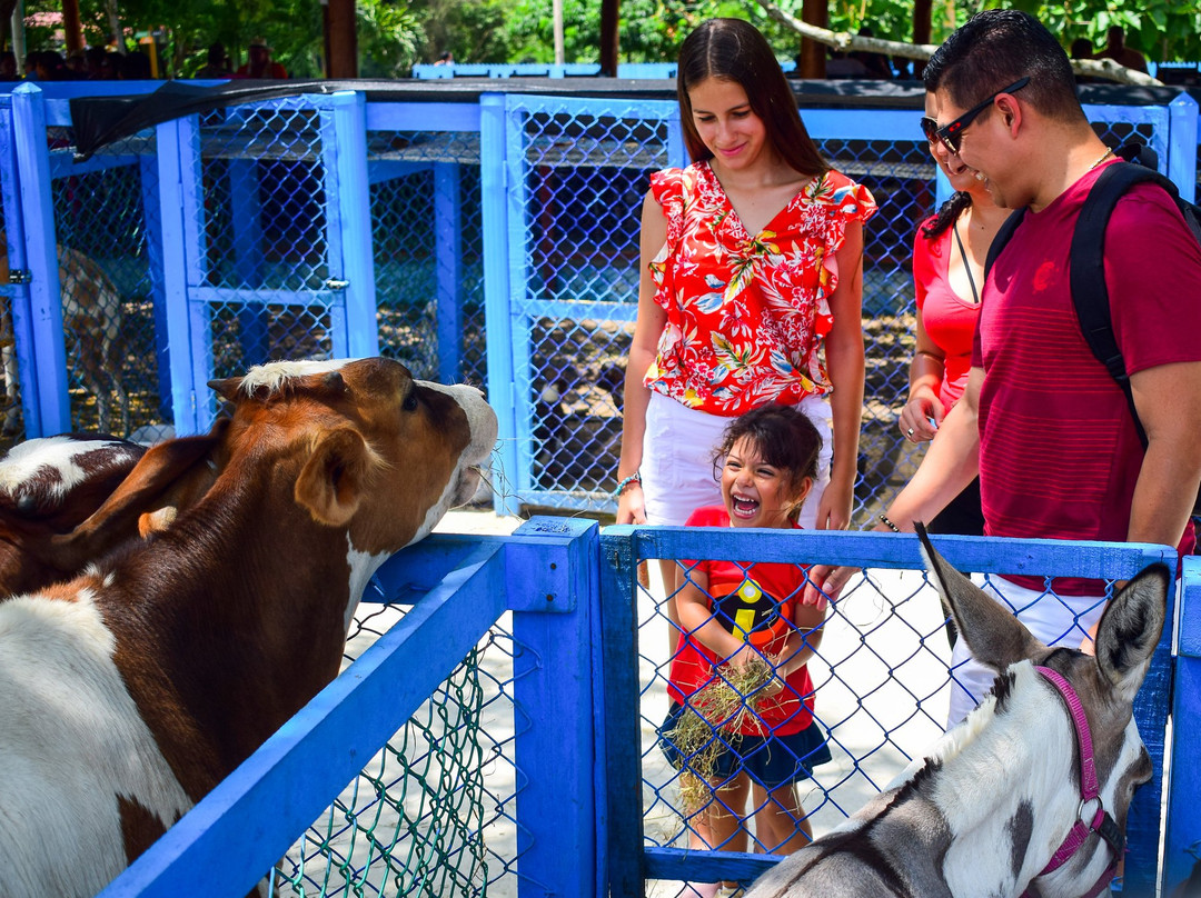 Ranch Texas-Baranoa必去景点