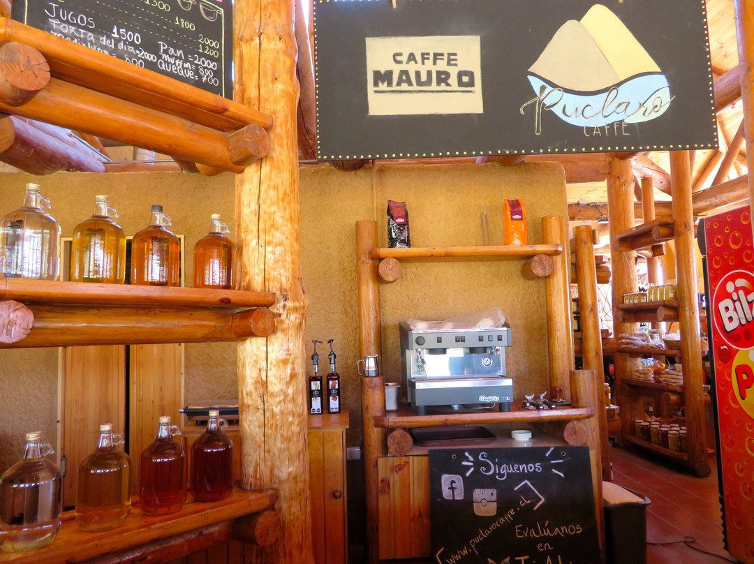 Viña Falernia-Vicuna必去景点