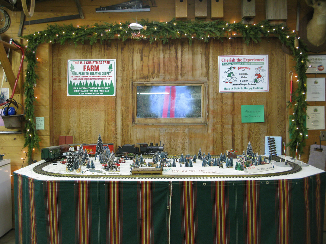 Werner Tree Farm-Middlebury必去景点