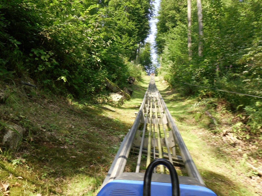 Rodelbahn Harzbob景点图片