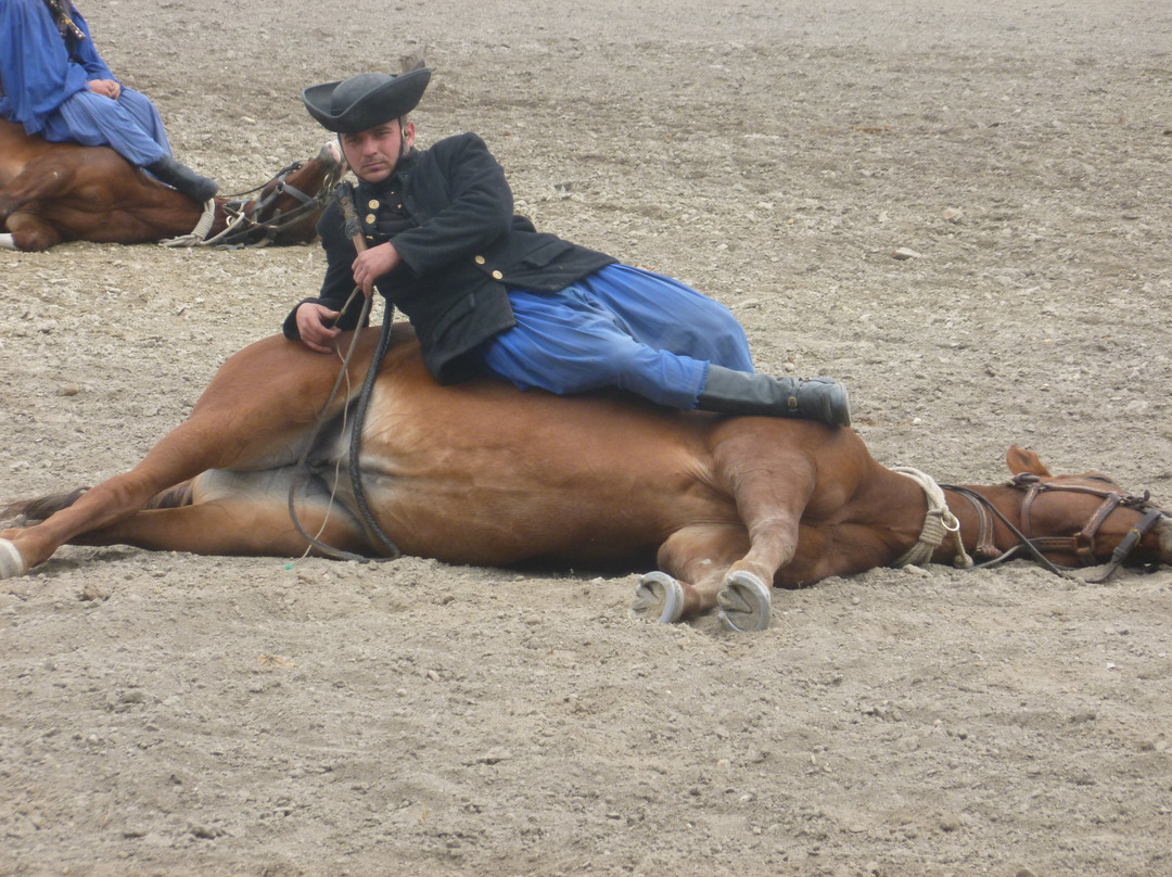 Bakodpuszta Horse Farm景点图片