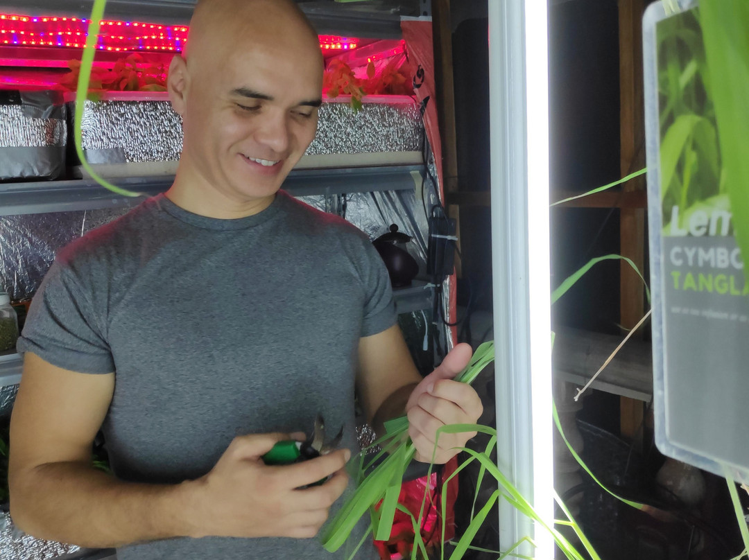 Urban Greens Hydroponic Farm Systems景点图片