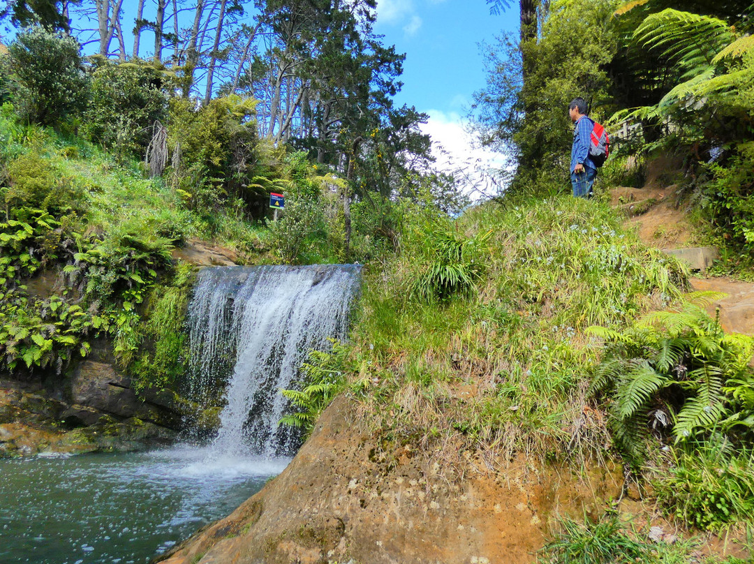 Oakley Creek Walkway-奥克兰中心地区必去景点