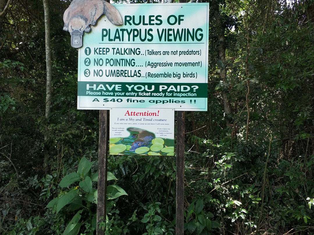 Platypus Park景点图片