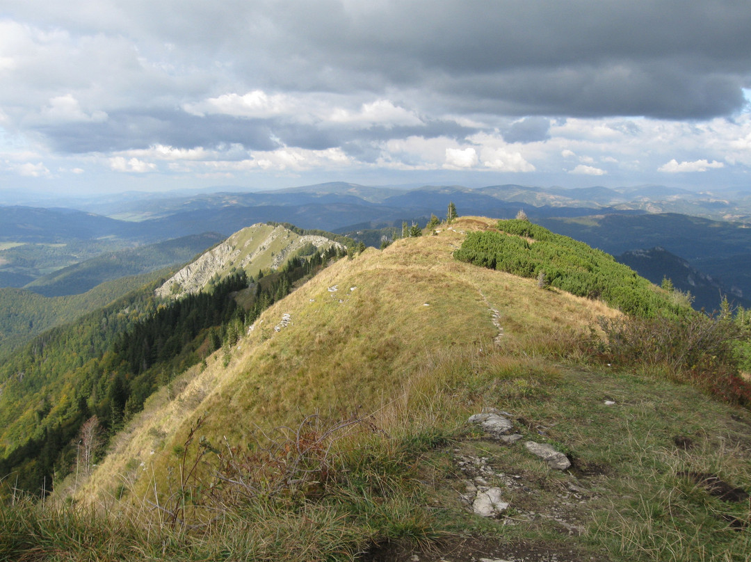 Kraviarske