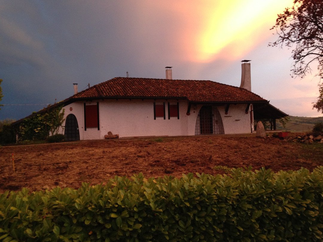 Santo Stefano Belbo酒店住宿-B&b La Casa Del Prof