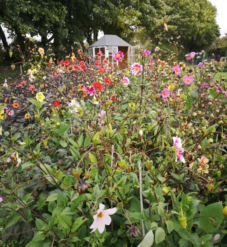 National Dahlia Collection-彭赞斯必去景点