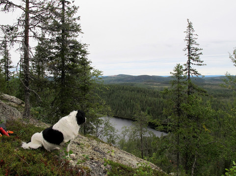 Arctic Adventure-哈拉斯必去景点