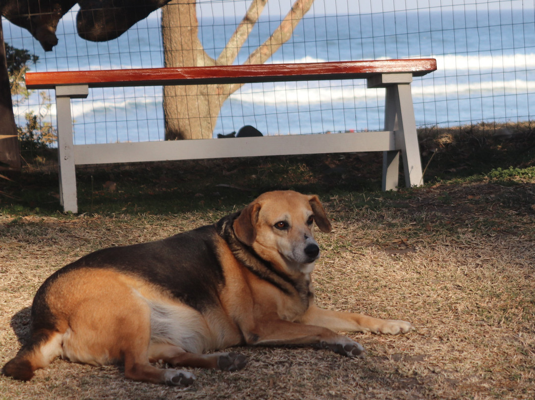 Ocean View Hotel主图