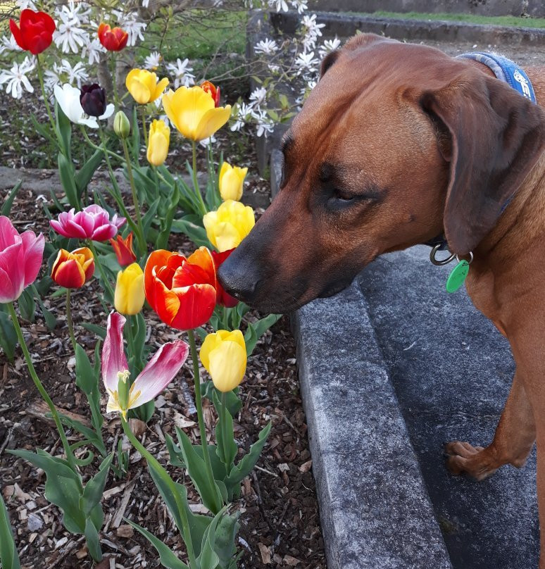 Te Henui Walkway-新普利默斯必去景点