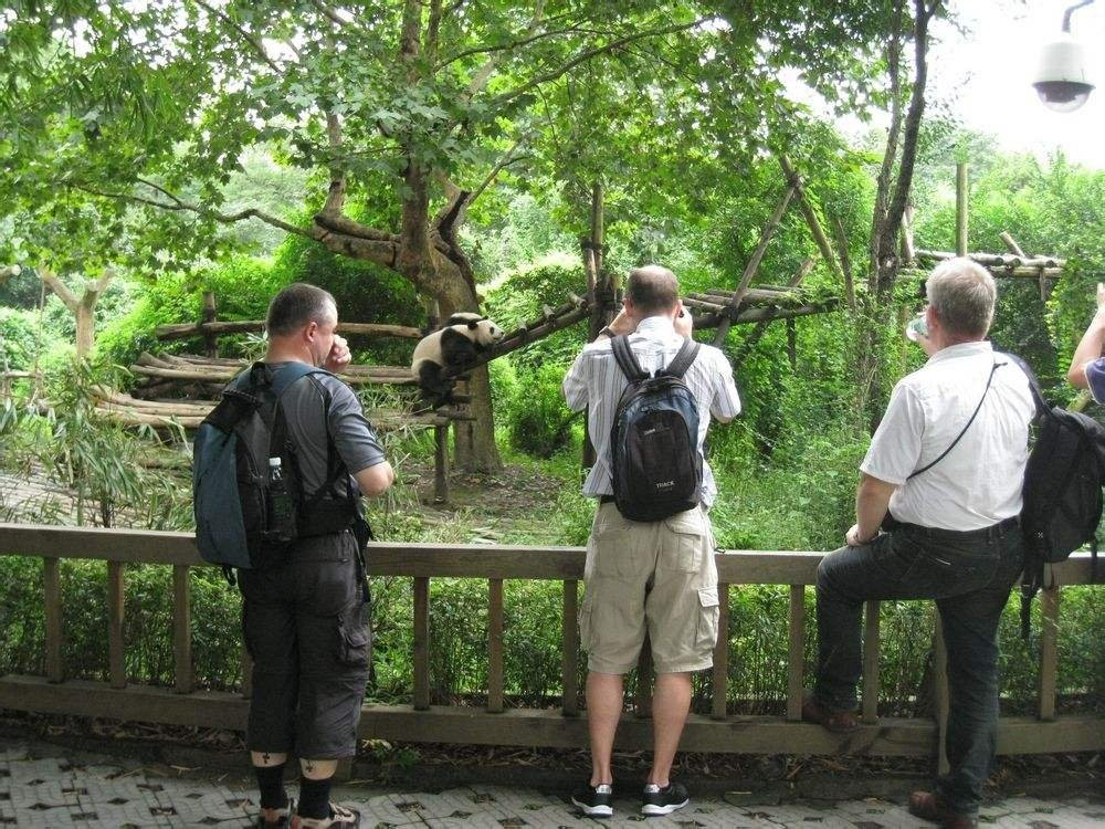 Local Chengdu Tours-成都必去景点