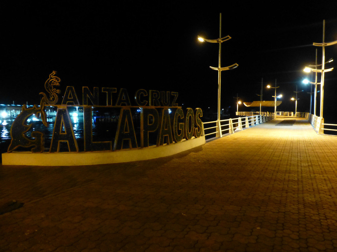 Monumento de aves de Galápagos-阿约拉港必去景点