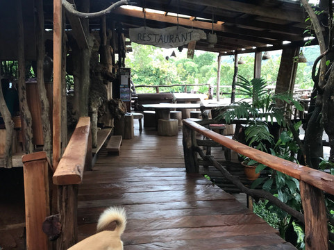 树冠生态山林小屋