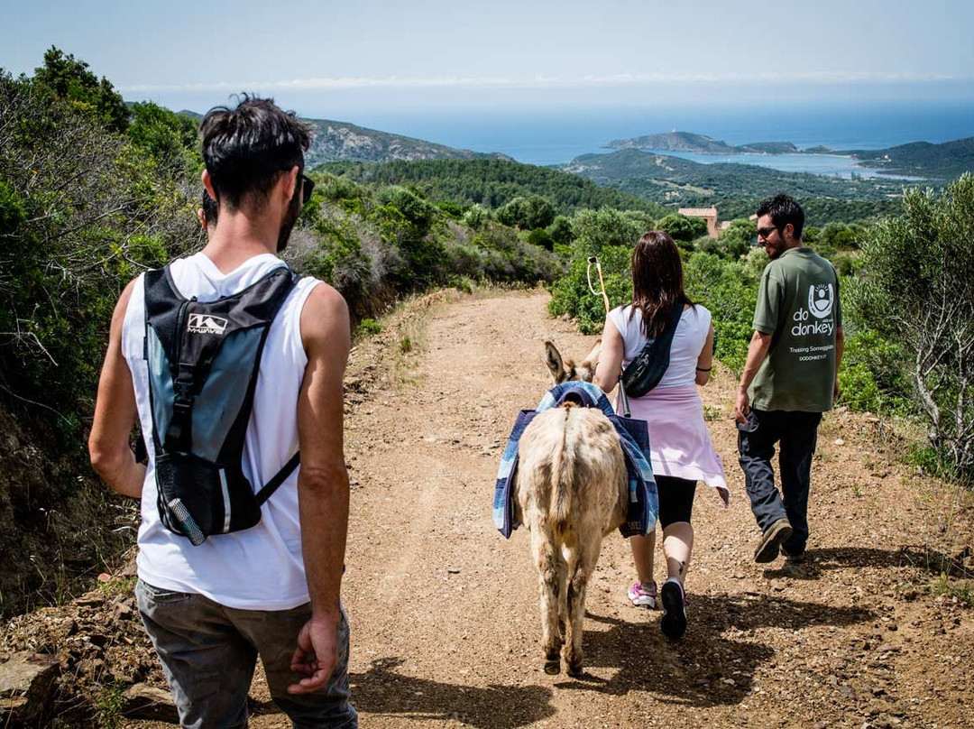 Do Donkey - Trekking con l'asino-Domus de Maria必去景点