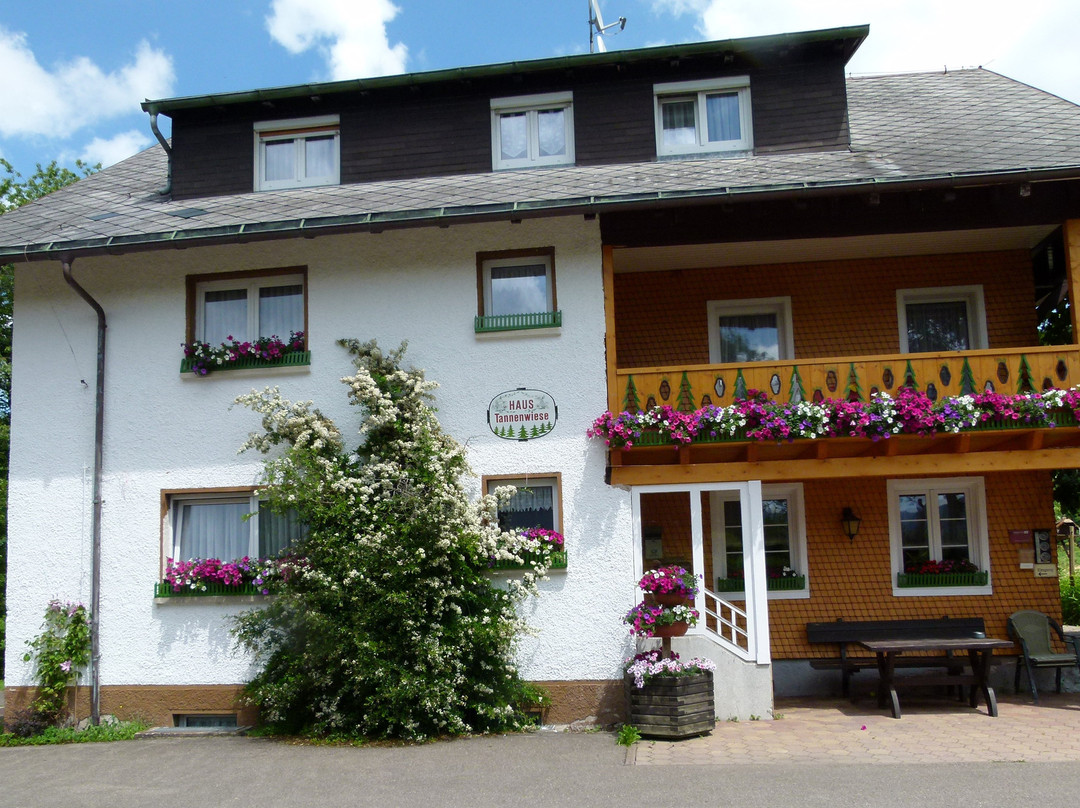 Pension Haus Tannenwiese