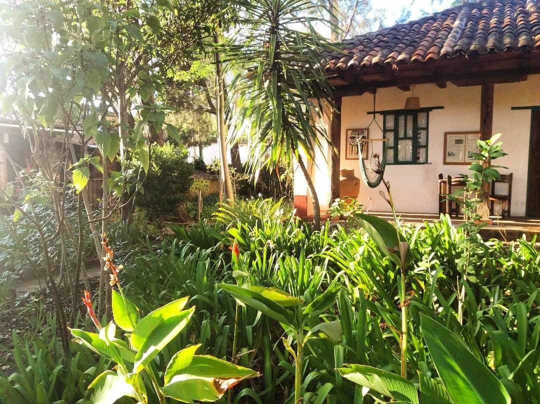 Cirila. Jardín Del Jaguar