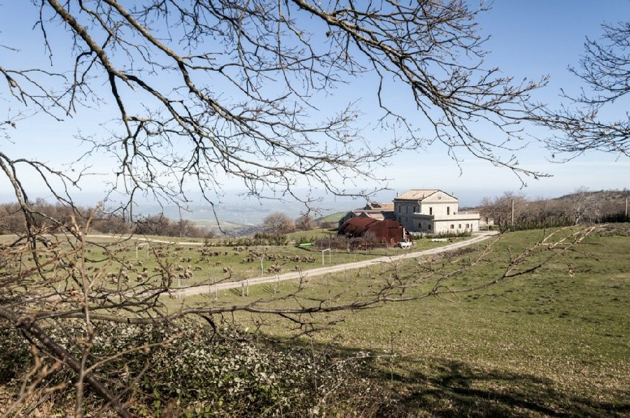 Parco naturale Masseria Salecchia景点图片