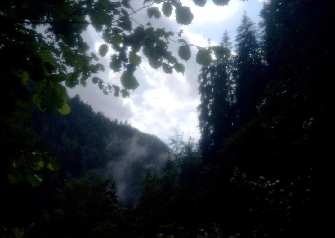 Pestera Poarta lui Ionele景点图片
