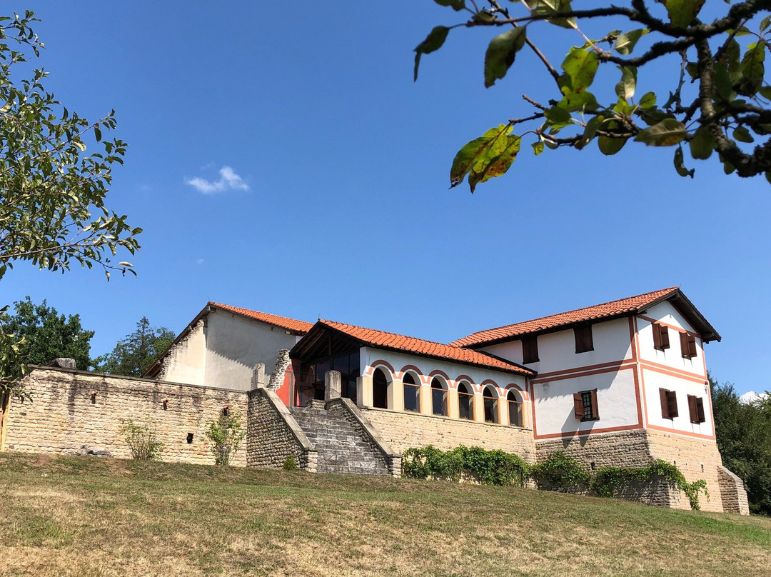 Roman Open Air Museum景点图片