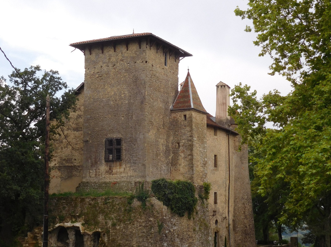Chateau de Charmes景点图片