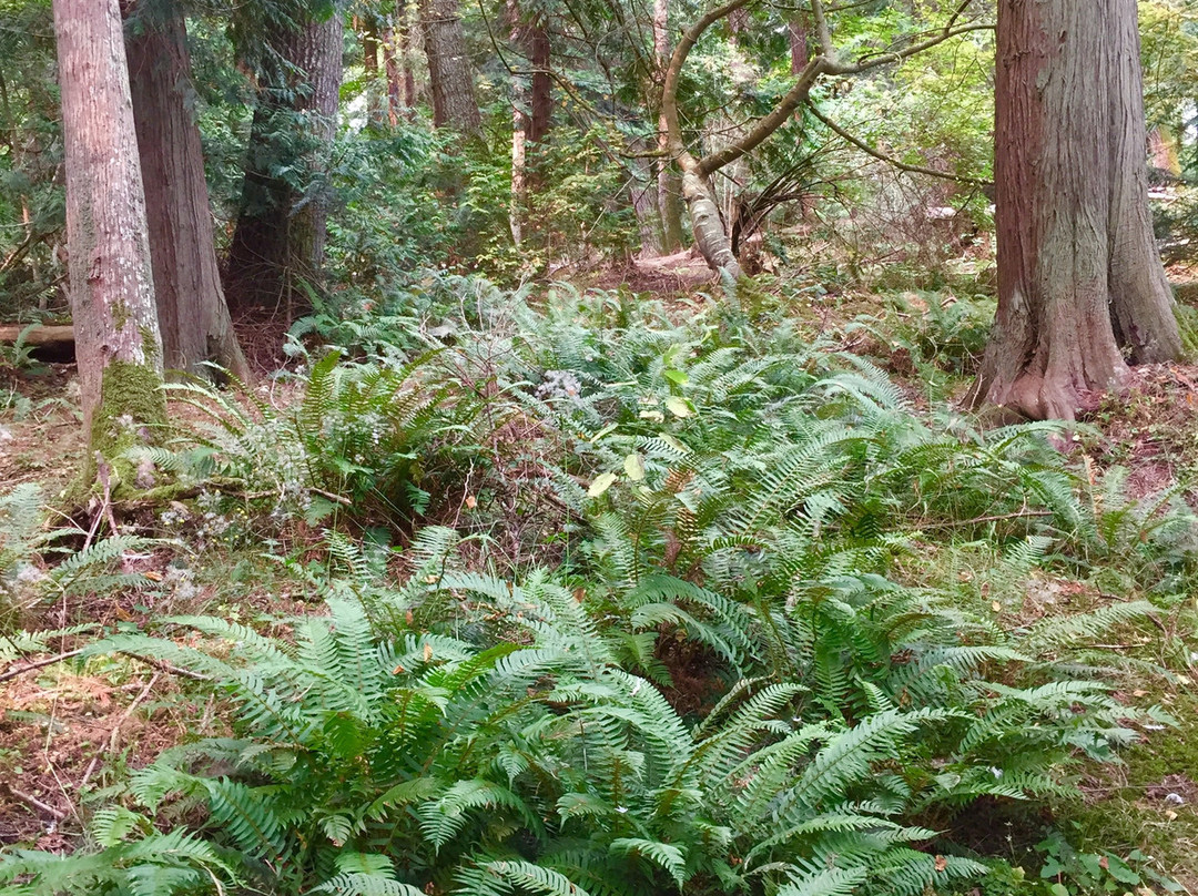 Gulf Islands National Park Reserve of Canada景点图片