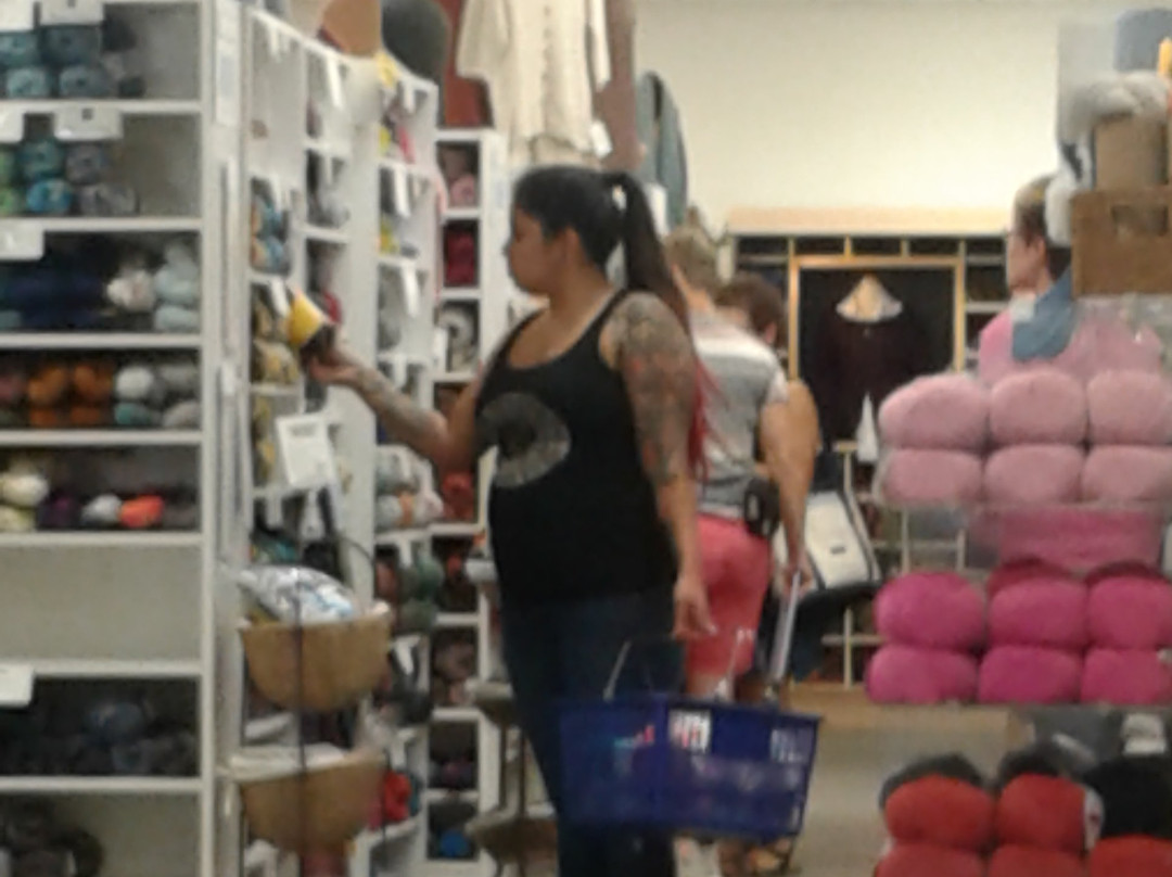 Webs America's Yarn Store-北安普敦必去景点