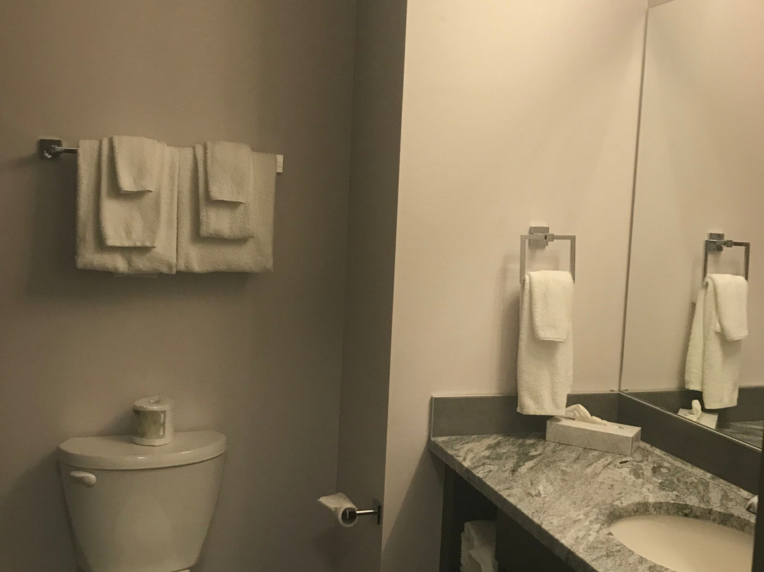 Park Inn by Radisson, Leduc, AB主图