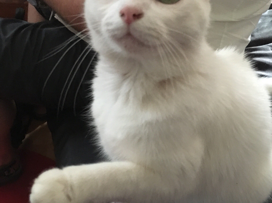 Chambre D’Hotes Dyrslot主图