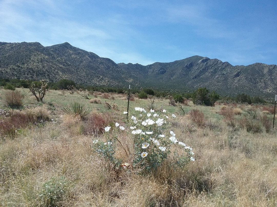 Cibola National Forest景点图片