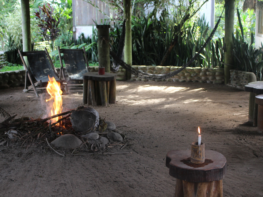 France Amazonia主图